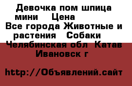 Девочка пом шпица мини  › Цена ­ 30 000 - Все города Животные и растения » Собаки   . Челябинская обл.,Катав-Ивановск г.